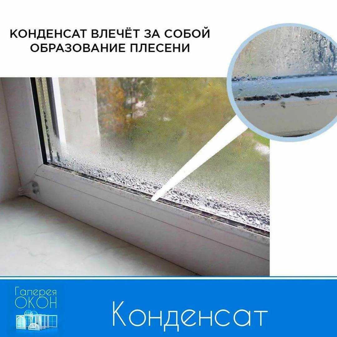 Конденсат на окнах внутри квартиры: почему образуется и как от него избавиться - строительство и ремонт