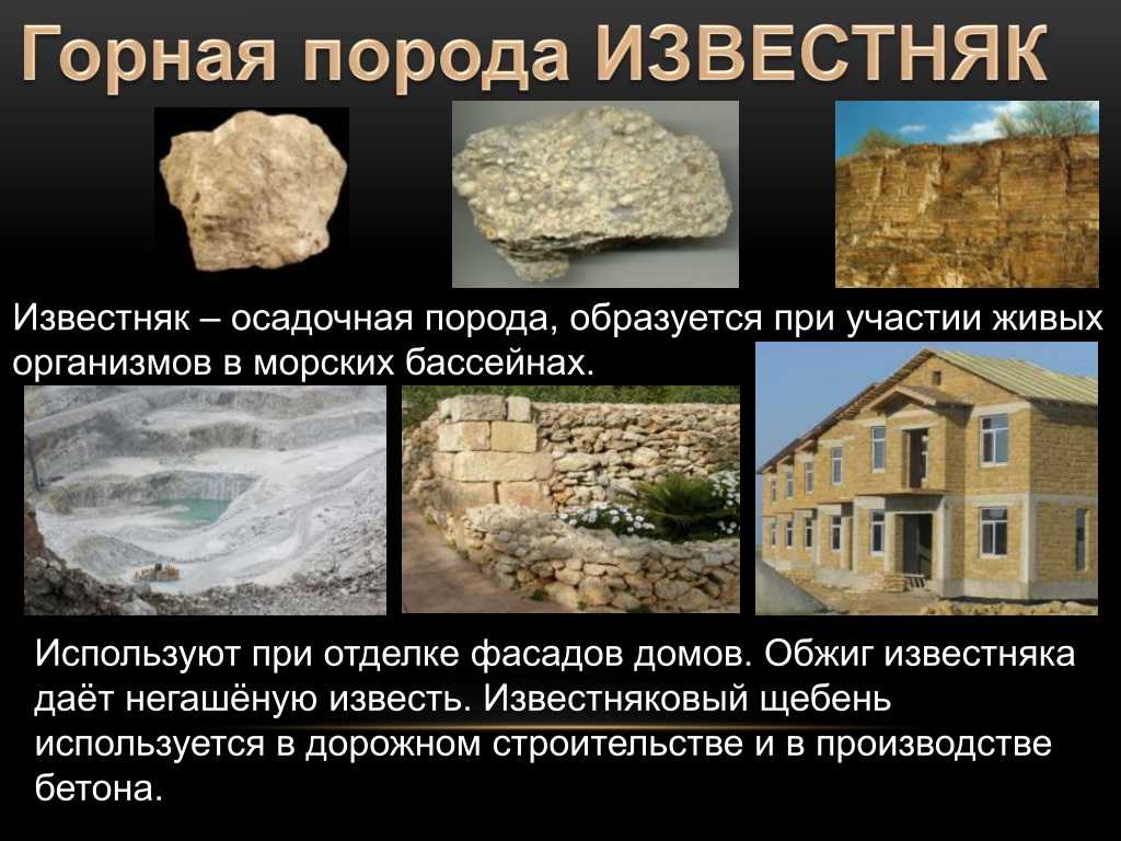 Камень ракушечник: недостатки, как выбрать, применение, виды