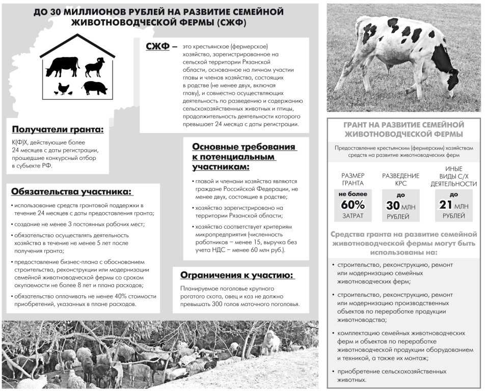 Быстрое и выгодное оформление лпх – получение участка, оформление назначения участка, перевод арендного участка в собственность + правила общения с местными властями