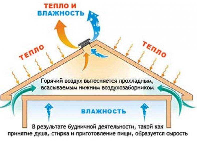Борьба с сыростью и конденсатом в доме и на даче