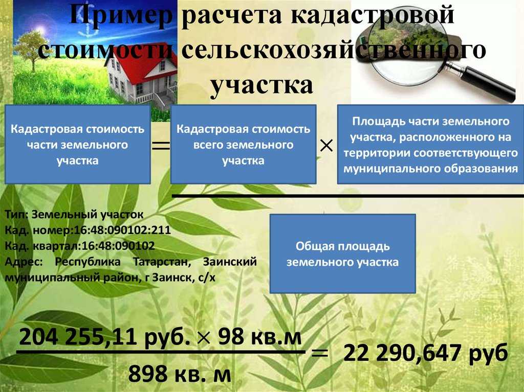 Как узнать кадастровую стоимость одной сотки земли: определение величины, факторы, влияющие на цену и способы расчета