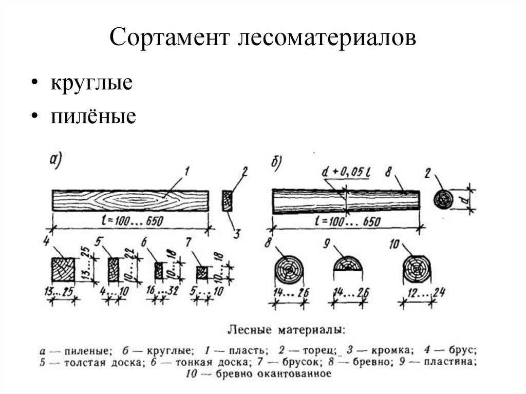 Механические и физические свойства древесины, ее химический состав, плотность, строение, модуль упругости и влажность