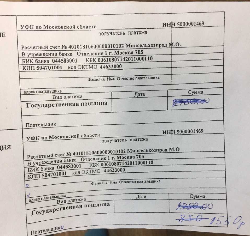 Госпошлина за покупку земельного участка 2022