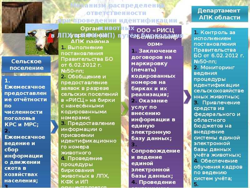 Лпх – что это такое, размер земельного участка, назначение деятельности и необходимые разрешительные документы