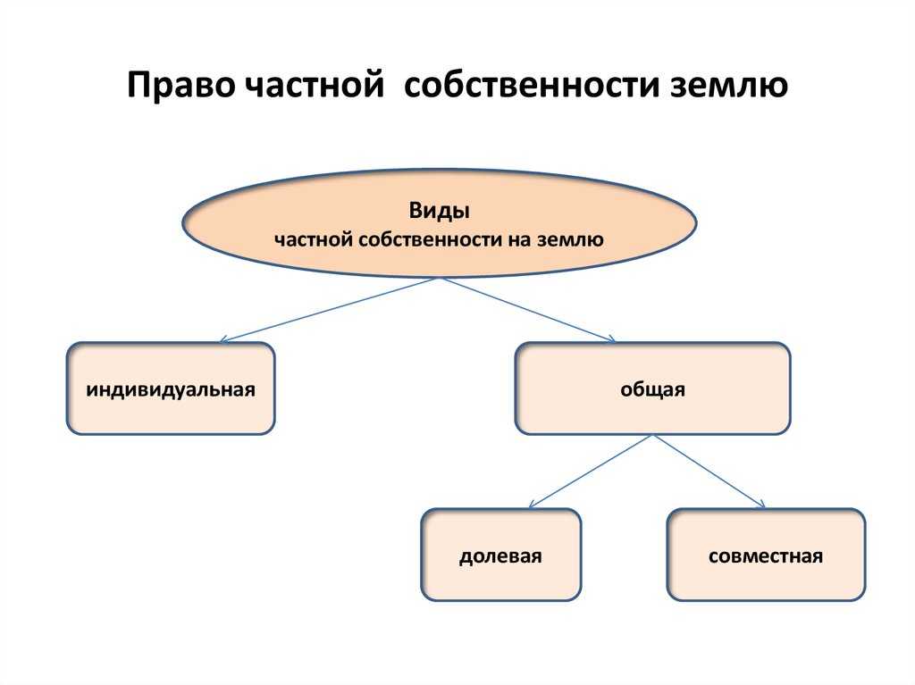 Какие права имеет собственник земельного участка?