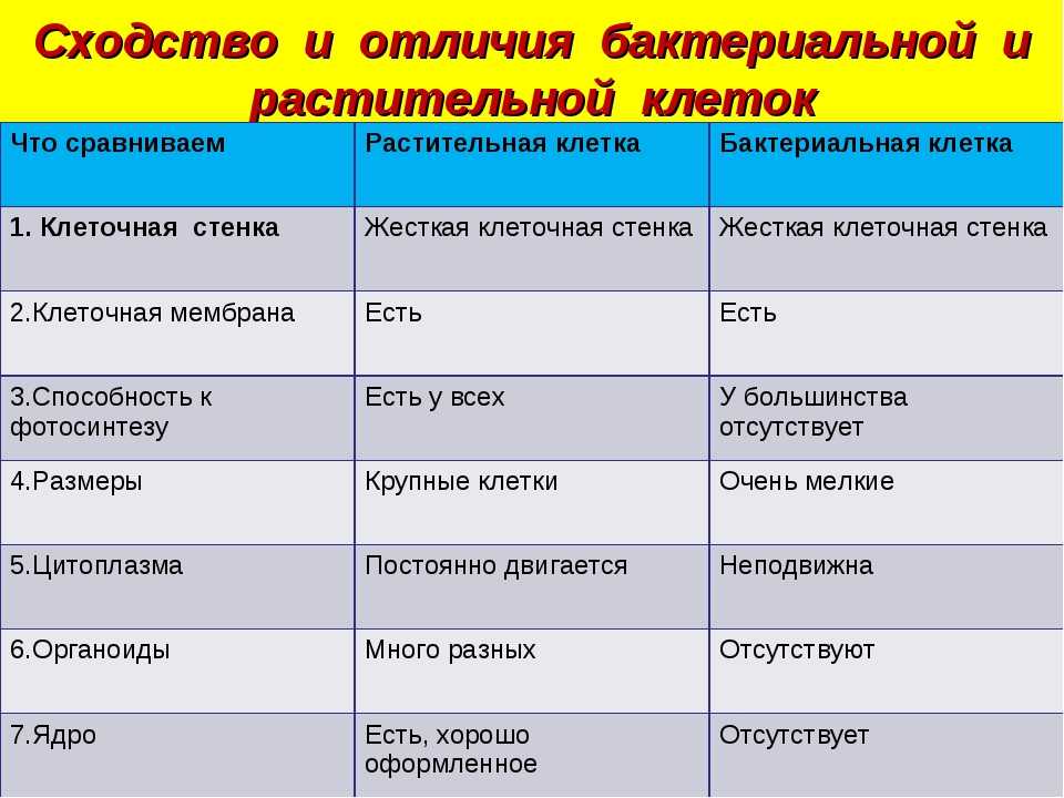 Линолеум таркетт или ivc что лучше
