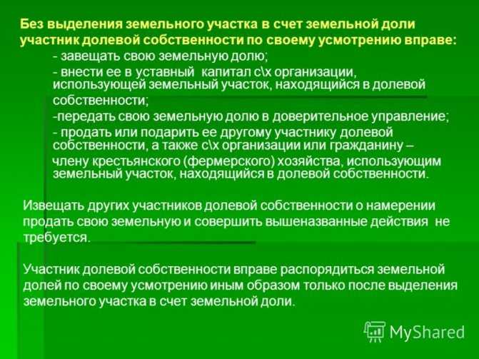 Чем рискует владелец земельного участка без межевания, как узнать, проводилось оно или нет: отвечаю на вопросы