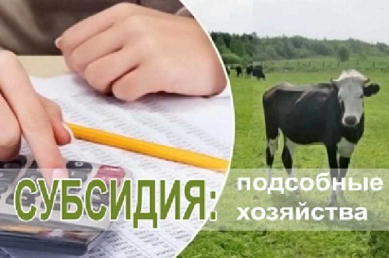 Перевод лпх в ижс, условия перевода земли из лпх в ижс, порядок перевода лпх в ижс
