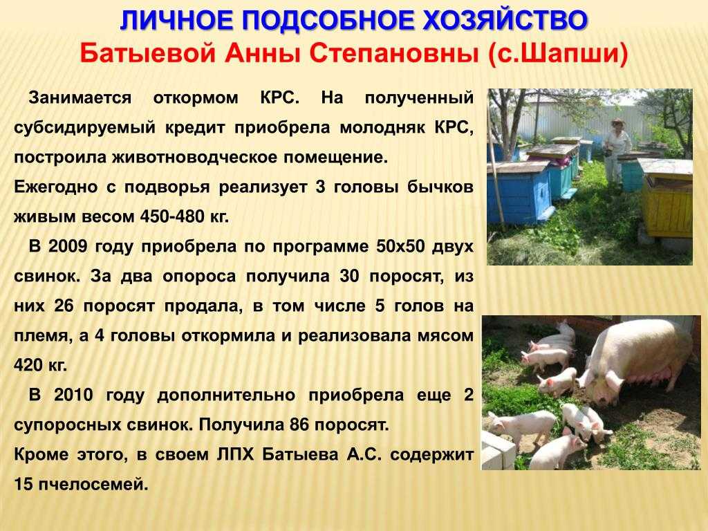 Лпх на землях сельскохозяйственного назначения: полевые участки и их особенности