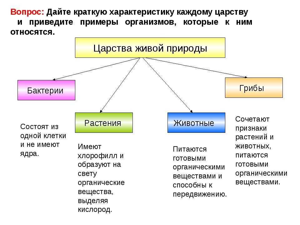 Использование земельного участка: разрешенные виды