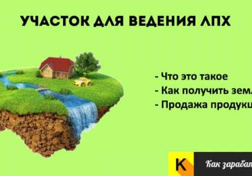 Как взять землю в аренду у государства под подсобное хозяйство? - realconsult.ru