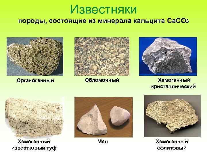 Камень ракушечник, свойства и особенности материала.
