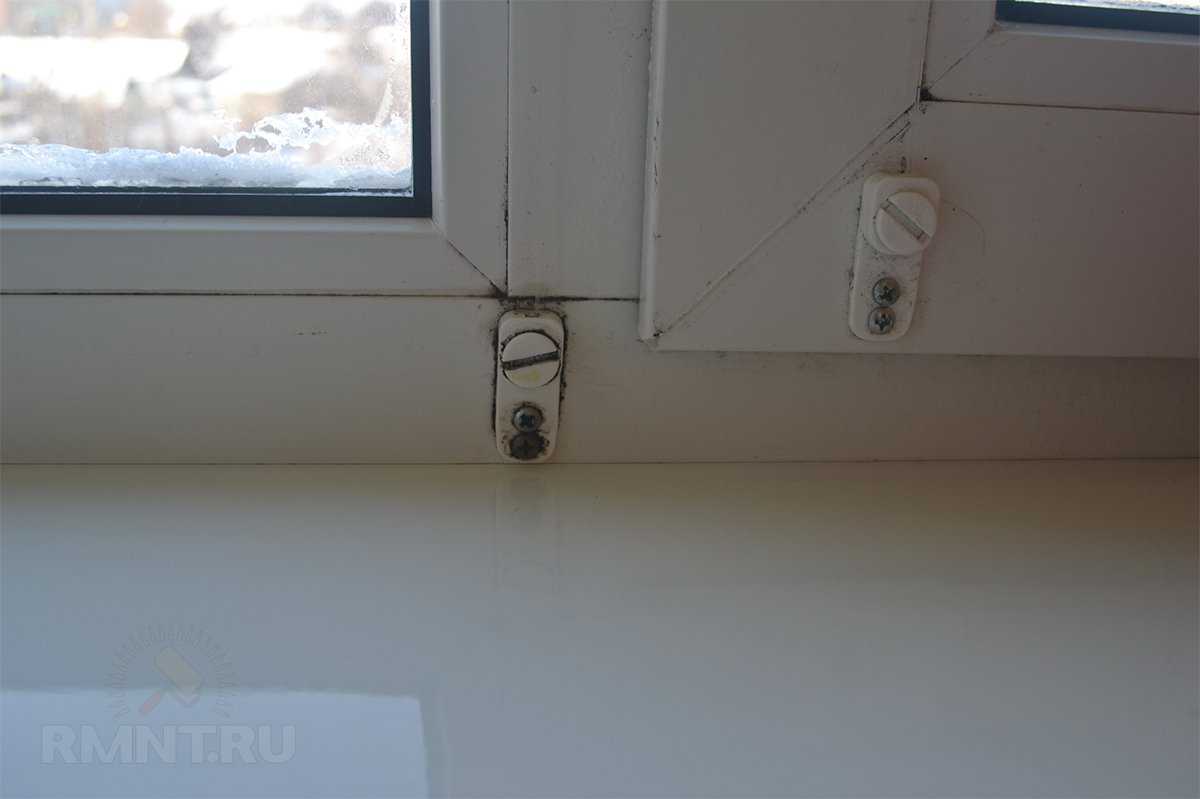 Как бороться с плесенью на окнах?