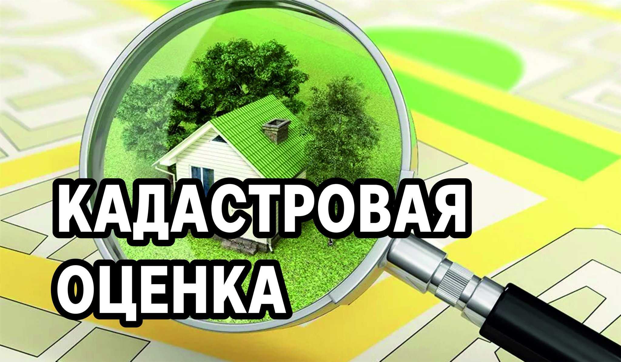 Кадастровая стоимость земли сельскохозяйственного назначения: от чего зависит, как происходит оценка и какие нужны документы