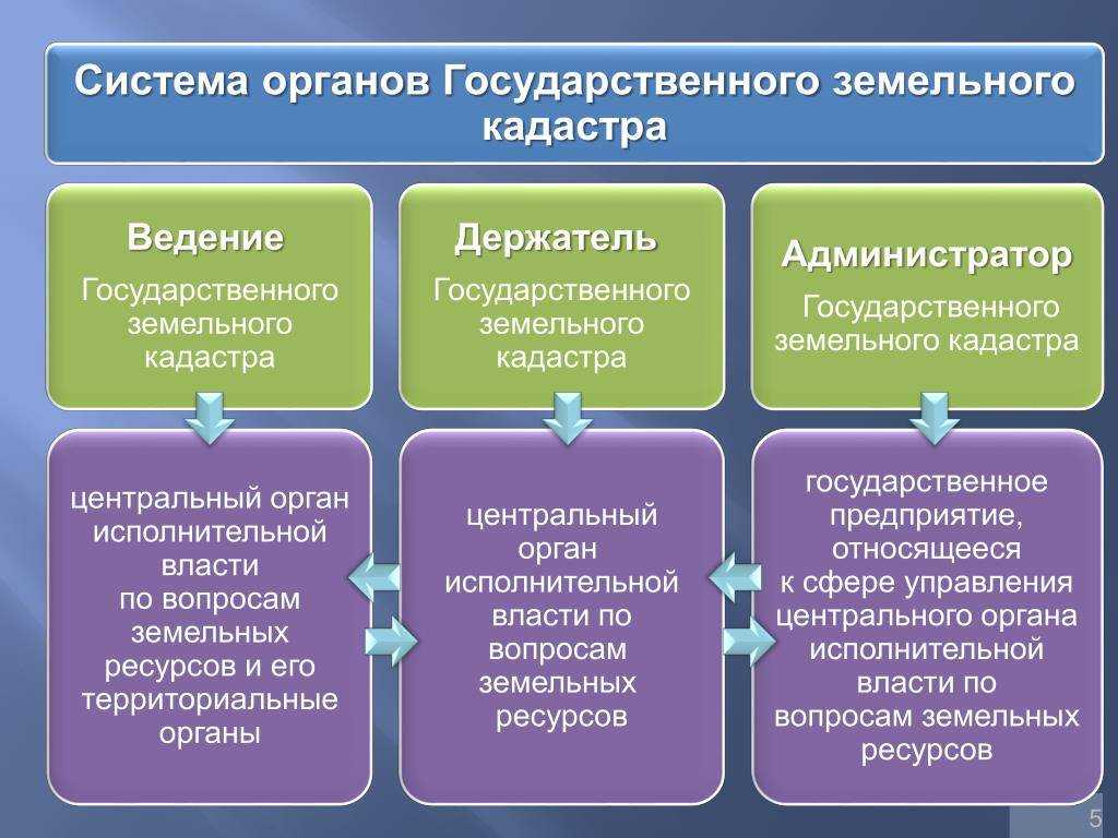 Картографическая основа государственного кадастра недвижимости реферат